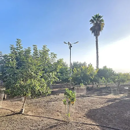 Enchanting Dream View A6 Atalaya In